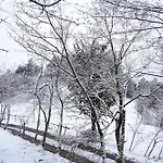 La Pegatera Masia Rodeada De Bosque Ideal Desconectar Coll de Nargó