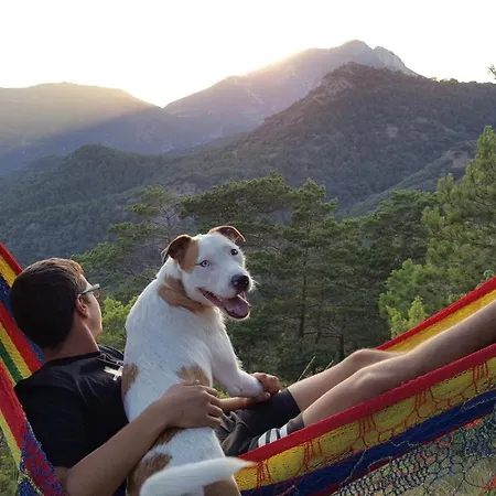 La Pegatera Masia Rodeada De Bosque Ideal Desconectar * Coll de Nargó