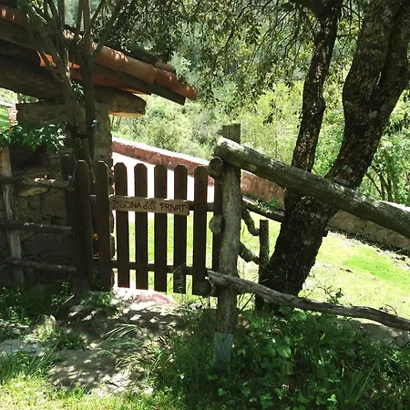La Pegatera. Masia Envoltada De Bosc Ideal Per A Desconnectar Chalet *