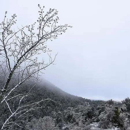 シャレー La Pegatera. Masia Envoltada De Bosc Ideal Per A Desconnectar Boixols