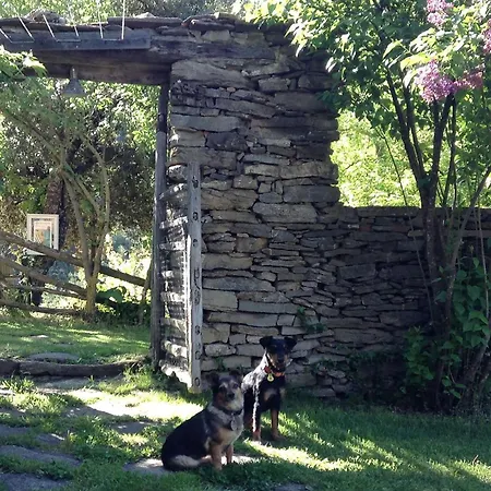 La Pegatera. Masia Envoltada De Bosc Ideal Per A Desconnectar