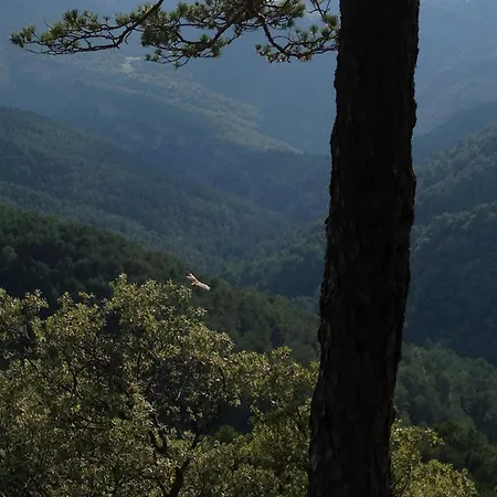 シャレー La Pegatera. Masia Envoltada De Bosc Ideal Per A Desconnectar
