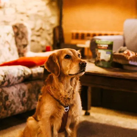La Pegatera. Masia Envoltada De Bosc Ideal Per A Desconnectar * Boixols