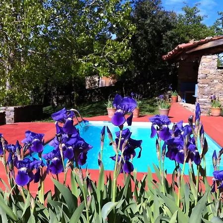 Kır Evi La Pegatera Masia Rodeada De Bosque Ideal Desconectar *