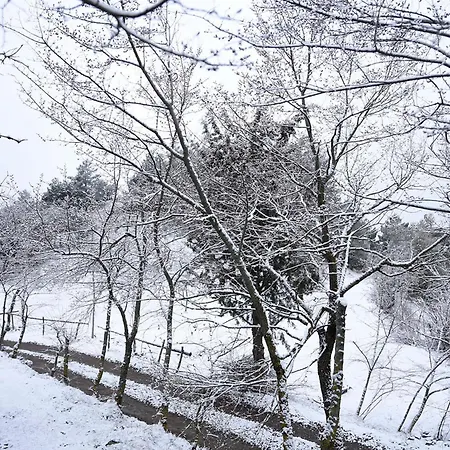 La Pegatera. Masia Envoltada De Bosc Ideal Per A Desconnectar Boixols
