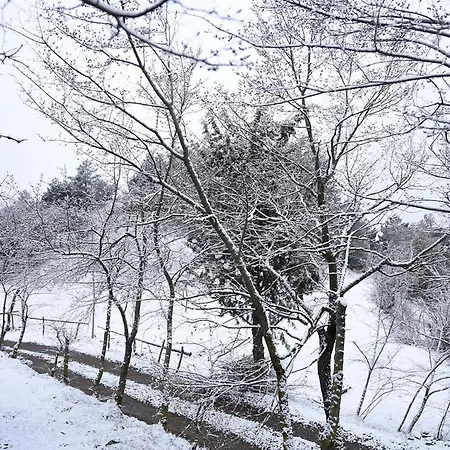 La Pegatera Masia Rodeada De Bosque Ideal Desconectar Coll de Nargó